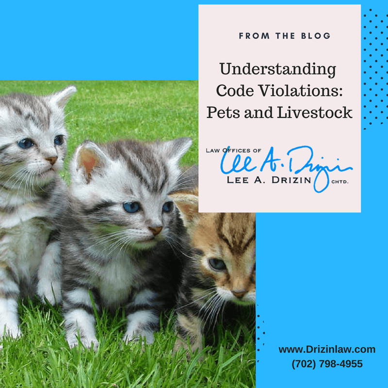 County Code Restrictions for Pets and Livestock