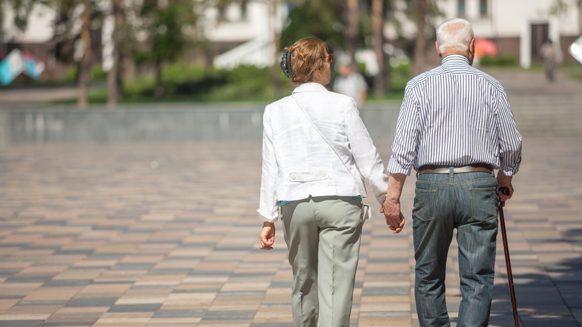 what is estate plan